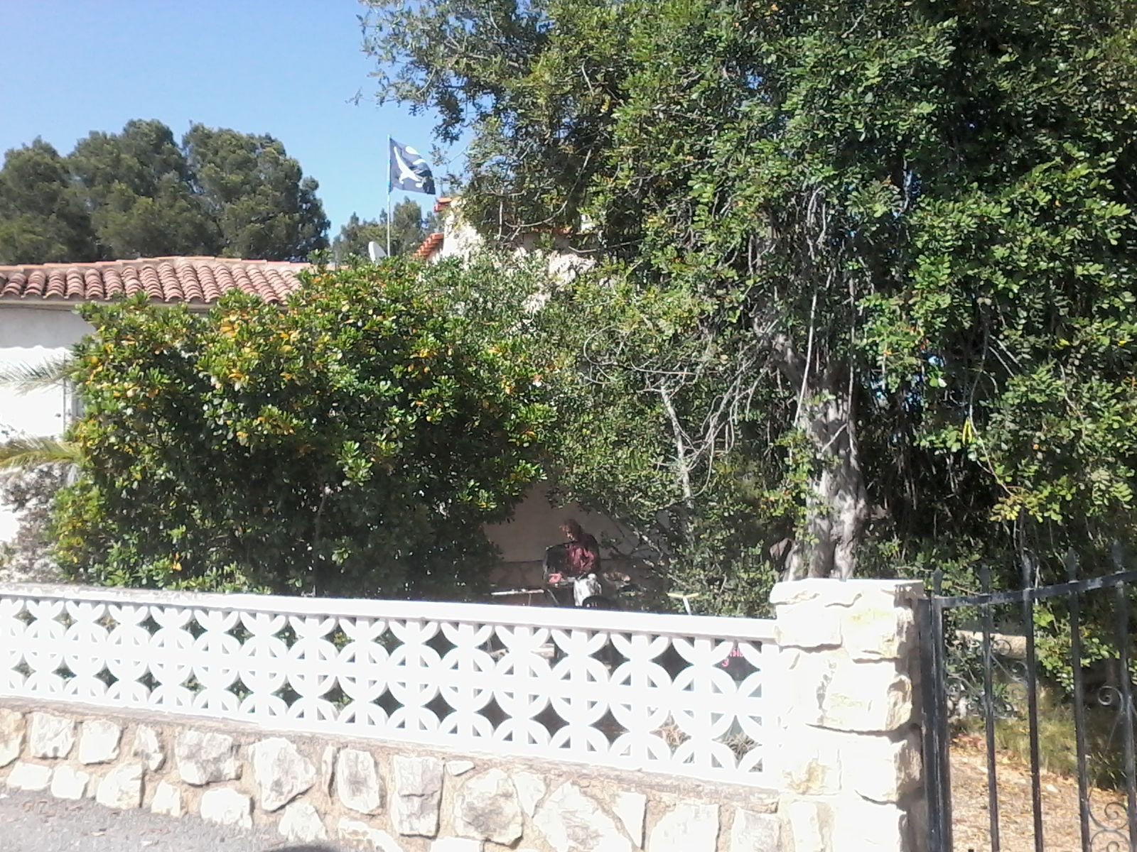 Gartensitzplatz mit Baum
